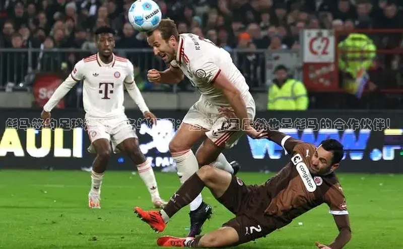 意昂体育平台长176五827百度翻译App