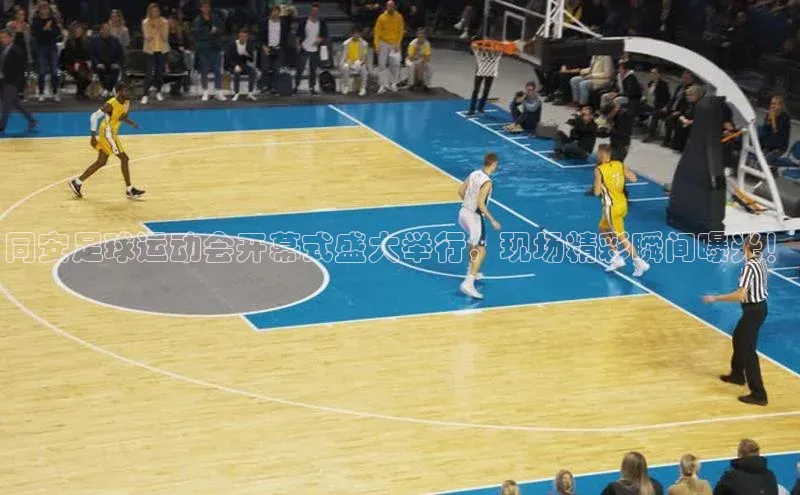 意昂体育app网页版登录入口百度营销中心