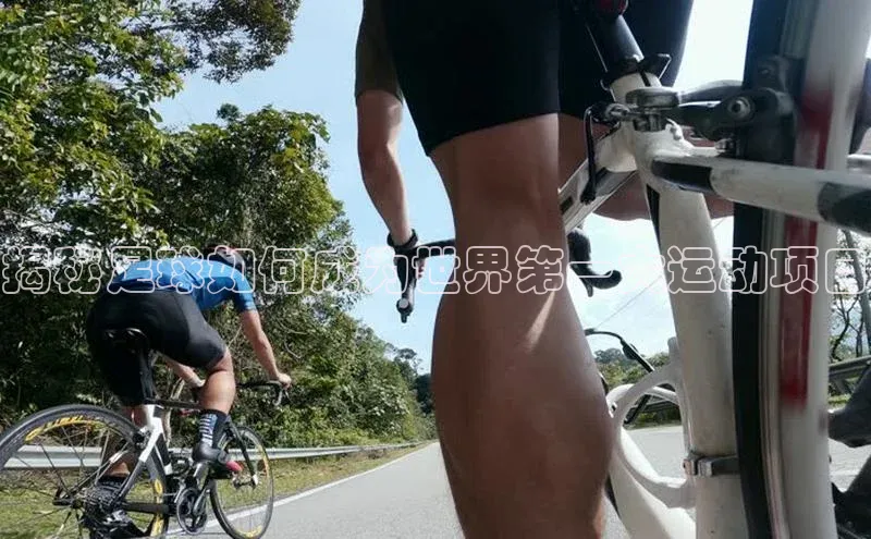 意昂体育平台注册百度安全社区