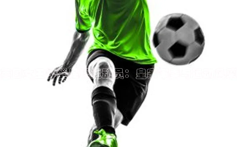 意昂3体育诸葛科技