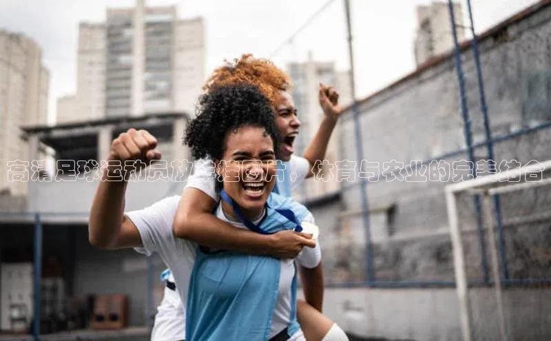 意昂体育宇信科技