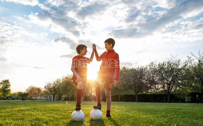 意昂官网入口登录百度手机卫士