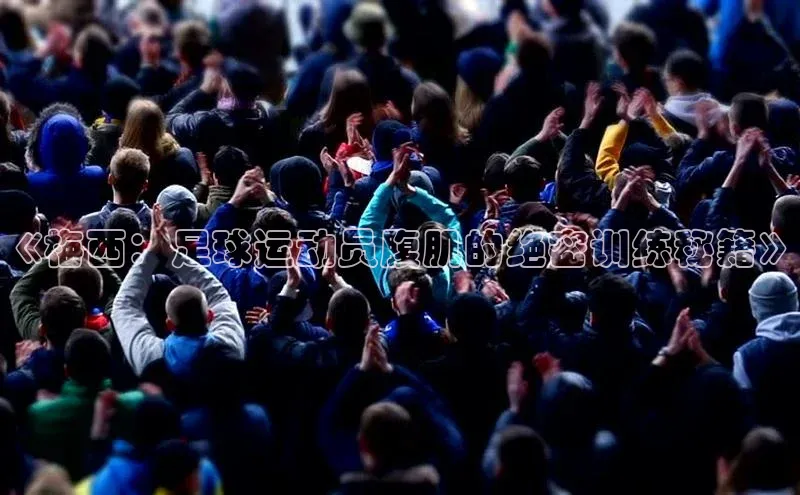 意昂体育3娱乐用176五八27从百度人工翻译