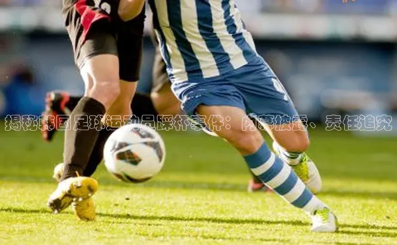 意昂2登录入口百度网盘