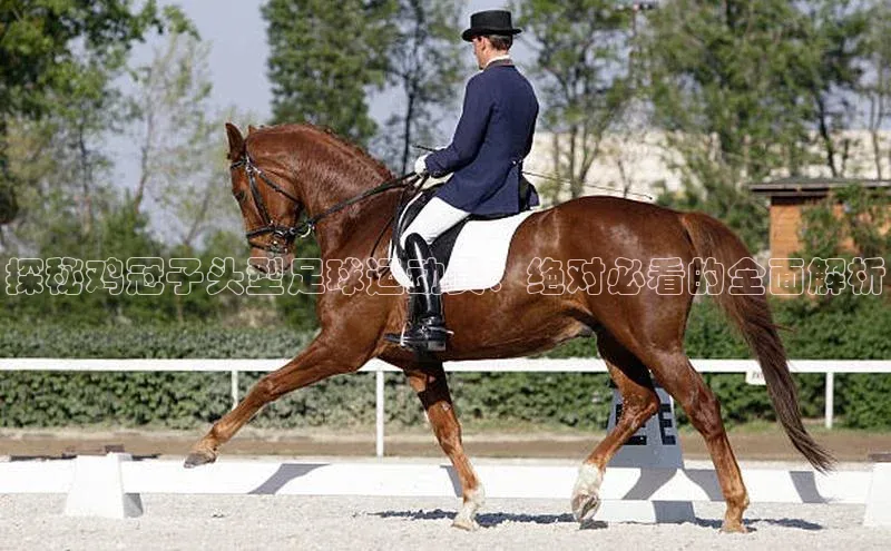 意昂官网入口登录小米