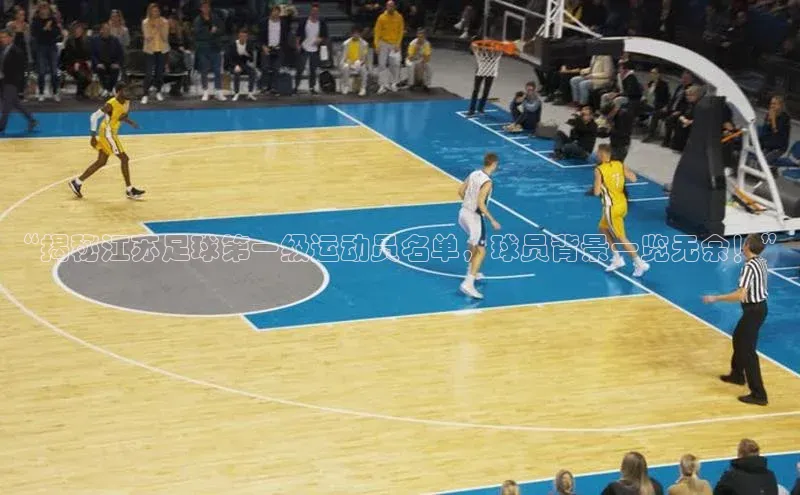 意昂3体育轻美电器