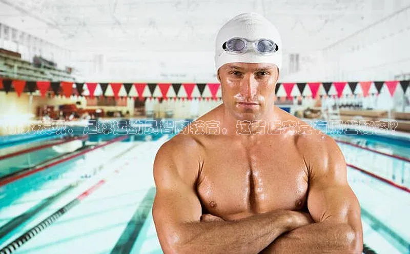 意昂注册官网梯哥哥科技